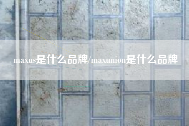 maxus是什么品牌/maxunion是什么品牌 maxus是什么品牌/maxunion是什么品牌