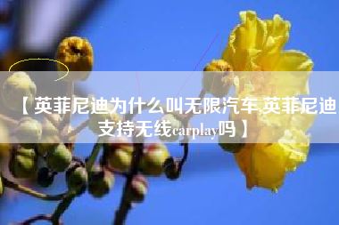 【英菲尼迪为什么叫无限汽车,英菲尼迪支持无线carplay吗】