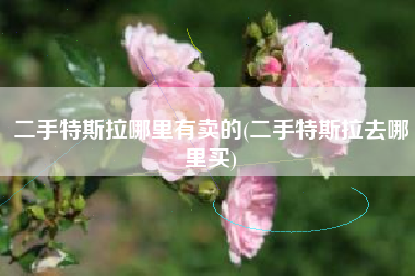 二手特斯拉哪里有卖的(二手特斯拉去哪里买) 二手特斯拉哪里有卖的(二手特斯拉去哪里买)