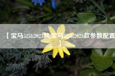 【宝马525li2023款,宝马525li2023款参数配置】