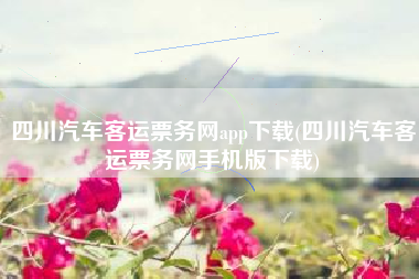 四川汽车客运票务网app下载(四川汽车客运票务网手机版下载)