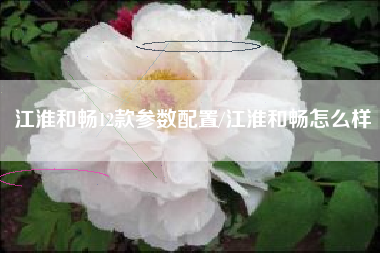 江淮和畅12款参数配置/江淮和畅怎么样