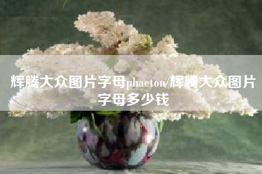 辉腾大众图片字母phaeton/辉腾大众图片字母多少钱 辉腾大众图片字母phaeton/辉腾大众图片字母多少钱