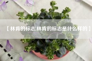 【林肯的标志,林肯的标志是什么样的】