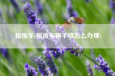 报废车(报废车辆手续怎么办理) 报废车(报废车辆手续怎么办理)