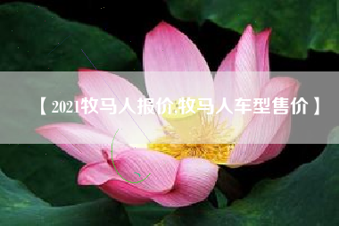 【2021牧马人报价,牧马人车型售价】