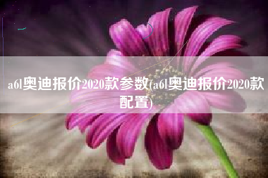 a6l奥迪报价2020款参数(a6l奥迪报价2020款配置)