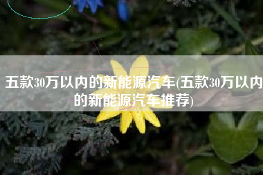 五款30万以内的新能源汽车(五款30万以内的新能源汽车推荐)
