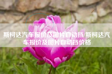 斯柯达汽车报价及图片自动挡/斯柯达汽车报价及图片自动挡价格 斯柯达汽车报价及图片自动挡/斯柯达汽车报价及图片自动挡价格