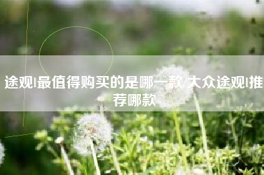 途观l最值得购买的是哪一款/大众途观l推荐哪款 途观l最值得购买的是哪一款/大众途观l推荐哪款