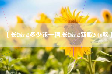 【长城m2多少钱一辆,长城m2新款2016款】 【长城m2多少钱一辆,长城m2新款2016款】