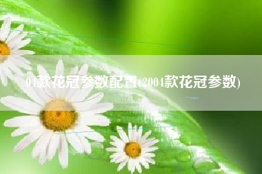 04款花冠参数配置(2004款花冠参数)