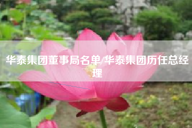 华泰集团董事局名单/华泰集团历任总经理 华泰集团董事局名单/华泰集团历任总经理