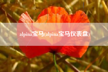 alpina宝马(alpina宝马仪表盘)
