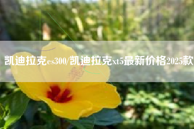 凯迪拉克es300/凯迪拉克xt5最新价格2025款