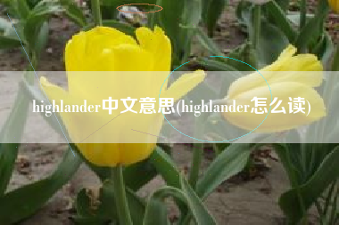 highlander中文意思(highlander怎么读)