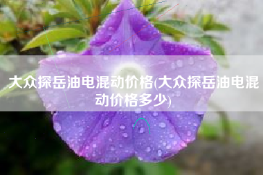 大众探岳油电混动价格(大众探岳油电混动价格多少)