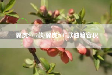 翼虎2017款/翼虎2017款油箱容积 翼虎2017款/翼虎2017款油箱容积