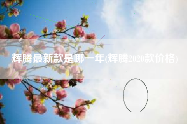 辉腾最新款是哪一年(辉腾2020款价格)