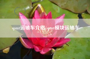 spmt运输车介绍/spmt模块运输车
