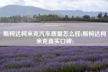 斯柯达柯米克汽车质量怎么样(斯柯达柯米克真实口碑) 斯柯达柯米克汽车质量怎么样(斯柯达柯米克真实口碑)