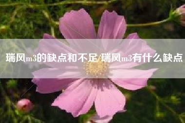 瑞风m3的缺点和不足/瑞风m3有什么缺点