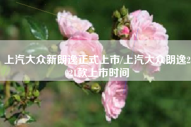 上汽大众新朗逸正式上市/上汽大众朗逸2021款上市时间