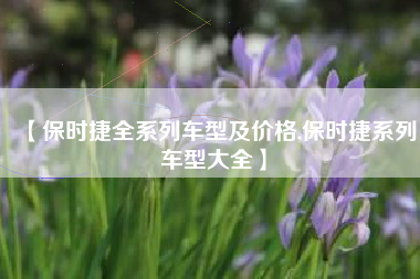 【保时捷全系列车型及价格,保时捷系列车型大全】