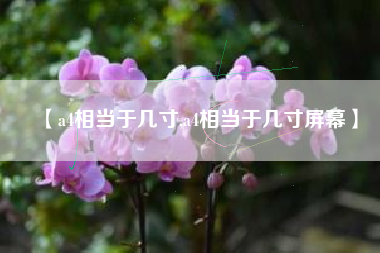 【a4相当于几寸,a4相当于几寸屏幕】