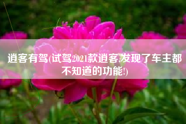 逍客有驾(试驾2021款逍客,发现了车主都不知道的功能!)