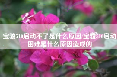 宝骏510启动不了是什么原因/宝骏510启动困难是什么原因造成的 宝骏510启动不了是什么原因/宝骏510启动困难是什么原因造成的