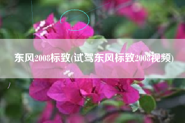 东风2008标致(试驾东风标致2008视频)