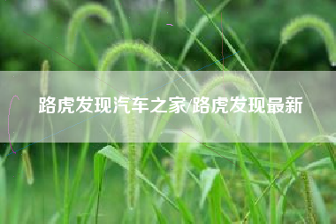 路虎发现汽车之家/路虎发现最新