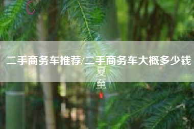 二手商务车推荐/二手商务车大概多少钱 二手商务车推荐/二手商务车大概多少钱