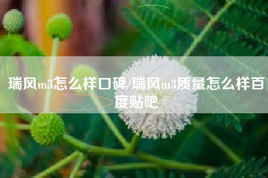 瑞风m3怎么样口碑/瑞风m3质量怎么样百度贴吧