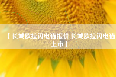 【长城欧拉闪电猫报价,长城欧拉闪电猫上市】 【长城欧拉闪电猫报价,长城欧拉闪电猫上市】