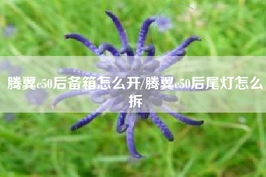腾翼c50后备箱怎么开/腾翼c50后尾灯怎么拆