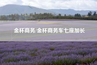 金杯商务/金杯商务车七座加长