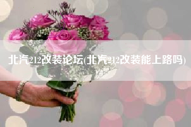 北汽212改装论坛(北汽212改装能上路吗) 北汽212改装论坛(北汽212改装能上路吗)