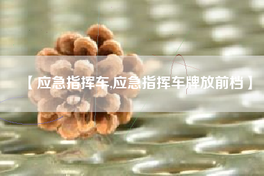 【应急指挥车,应急指挥车牌放前档】