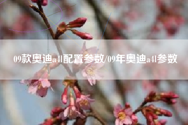 09款奥迪a4l配置参数/09年奥迪a4l参数 09款奥迪a4l配置参数/09年奥迪a4l参数