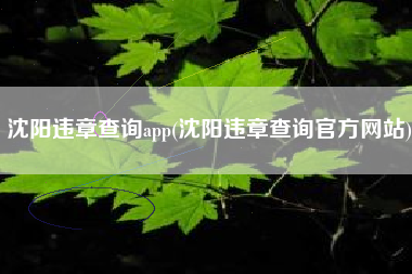 沈阳违章查询app(沈阳违章查询官方网站)