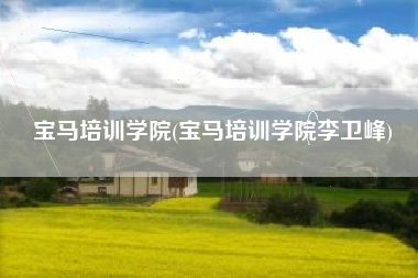 宝马培训学院(宝马培训学院李卫峰)