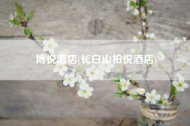 博悦酒店(长白山柏悦酒店)