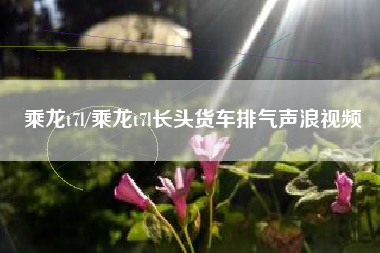 乘龙t7l/乘龙t7l长头货车排气声浪视频