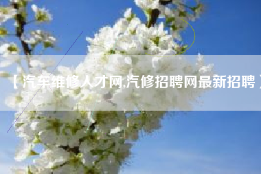 【汽车维修人才网,汽修招聘网最新招聘】