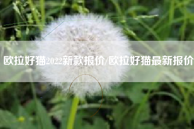 欧拉好猫2022新款报价/欧拉好猫最新报价 欧拉好猫2022新款报价/欧拉好猫最新报价