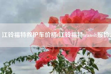 江铃福特救护车价格(江铃福特transit报价) 江铃福特救护车价格(江铃福特transit报价)