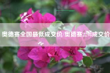 奥德赛全国最低成交价/奥德赛2298成交价