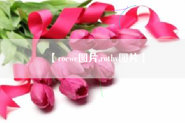 【roewe图片,rothy图片】 【roewe图片,rothy图片】